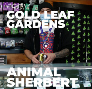 Animal Sherbert